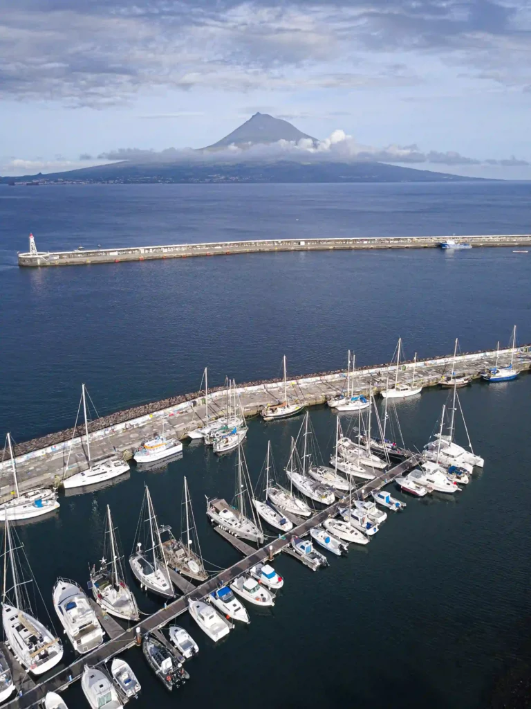 2a475fe01b94e244cd6c3b9c24e74c1f ezgif.com jpg to webp converter