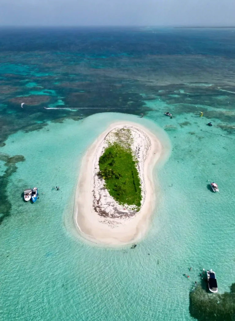 dji 0132 ezgif.com jpg to webp converter