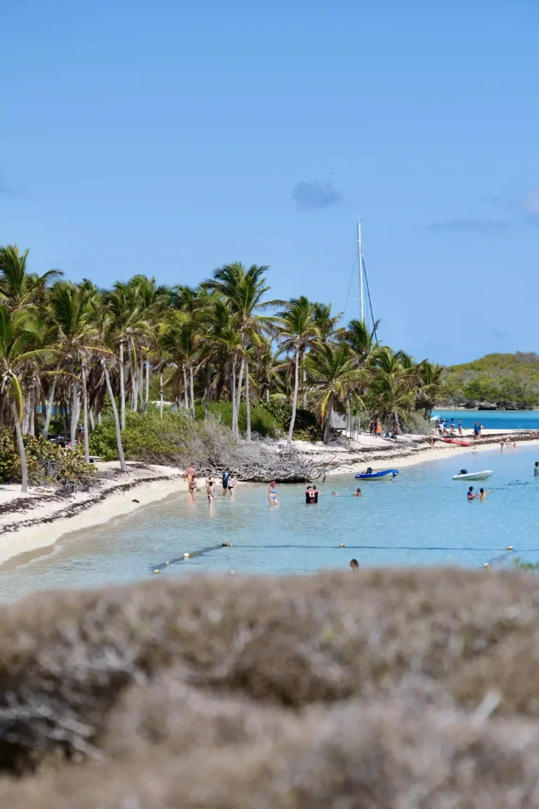 dscf8509 ezgif.com jpg to webp converter