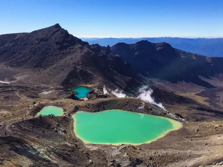 img 1902 ezgif.com jpg to webp converter