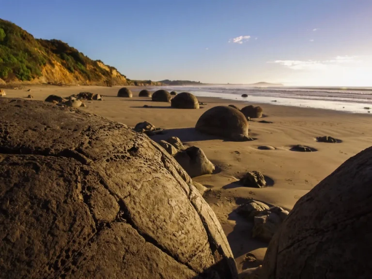 img 2368 ezgif.com jpg to webp converter