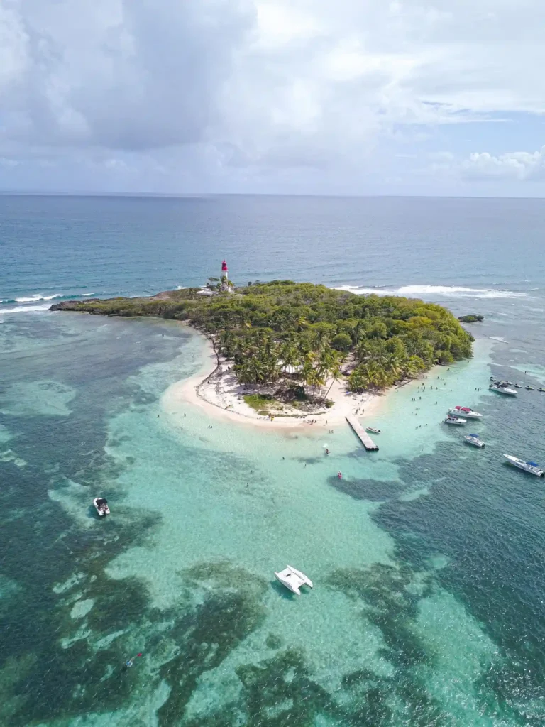 a259251c8ab786a0d4e83981ae1bdbc1 ezgif.com jpg to webp converter